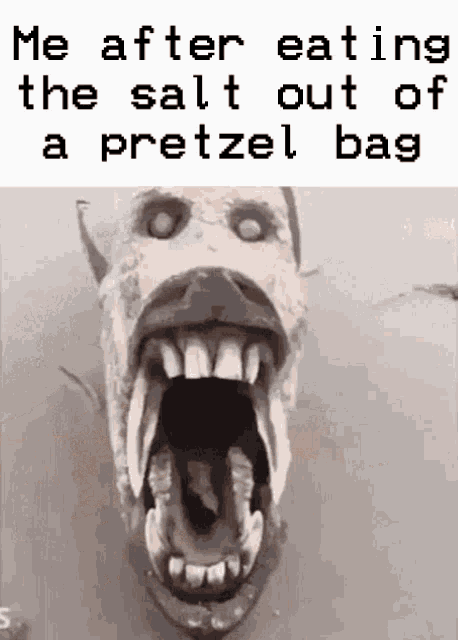 Salt Pretzel GIF - Salt Pretzel Bag GIFs