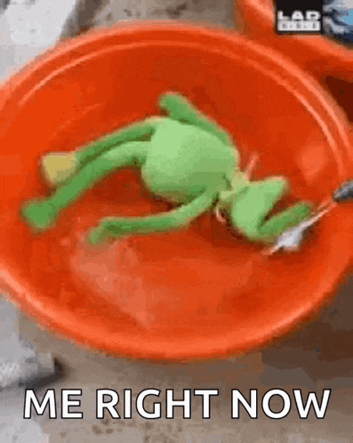a stuffed frog is laying in a bowl of water with the words me right now written on the bottom .