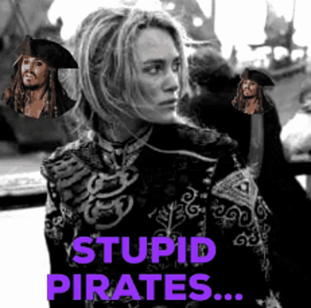 a picture of a woman with pirates on her head and the words stupid pirates on the bottom