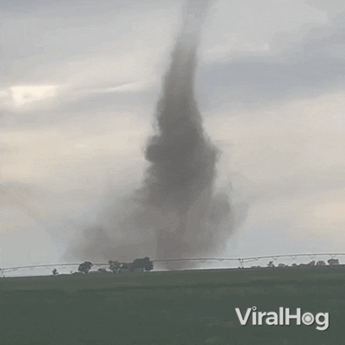 a tornado in a field with the words viralhog on the bottom right