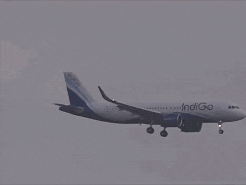 a indigo airplane is taking off from a runway