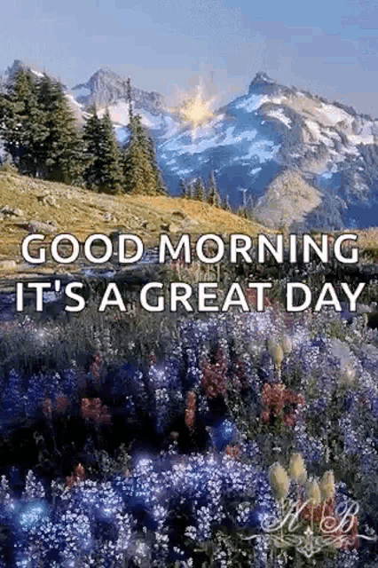 a good morning it 's a great day with a mountain in the background and flowers in the foreground .