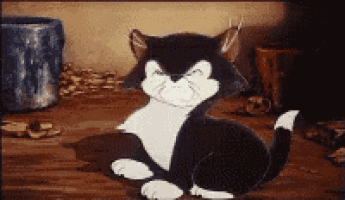 a black and white cat is sitting on a table