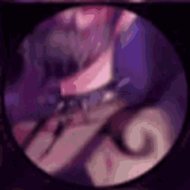 a close up of a person 's face with a purple background .