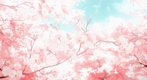 Cherry Blossom Anime GIF - Cherry Blossom Anime Flowers GIFs