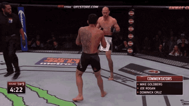 a ufc fight between mike goldberg and joe rogan is shown