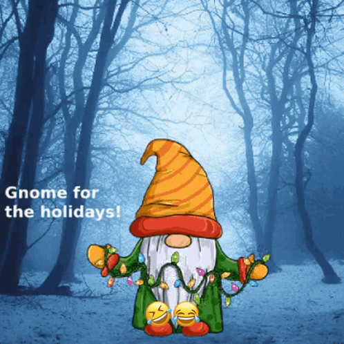Gnomes Memes Cute Gnomes GIF - Gnomes Memes Cute Gnomes GIFs