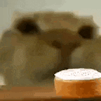 a close up of a cat 's face looking at a cake on a table .