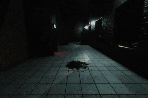 a dark hallway with a shadow of a person on the tile floor
