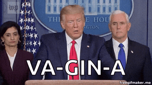 a man in a suit and tie stands behind a podium with the words va-gin-a written on it
