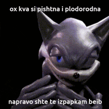a picture of a cat with a caption that says ox kva si pishtina i plodorodna