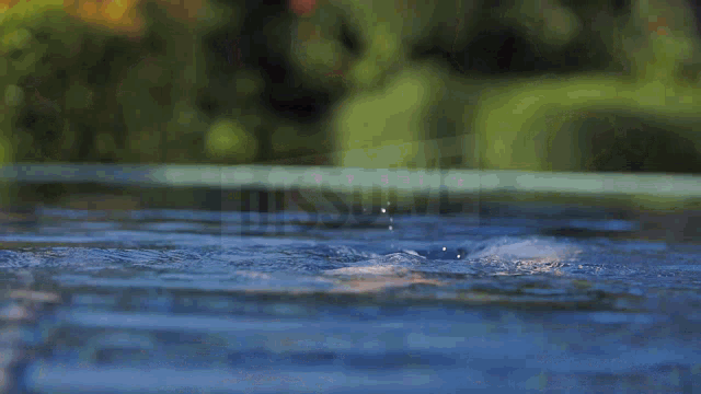 Comingoutofwater Woman GIF - Comingoutofwater Water Woman GIFs