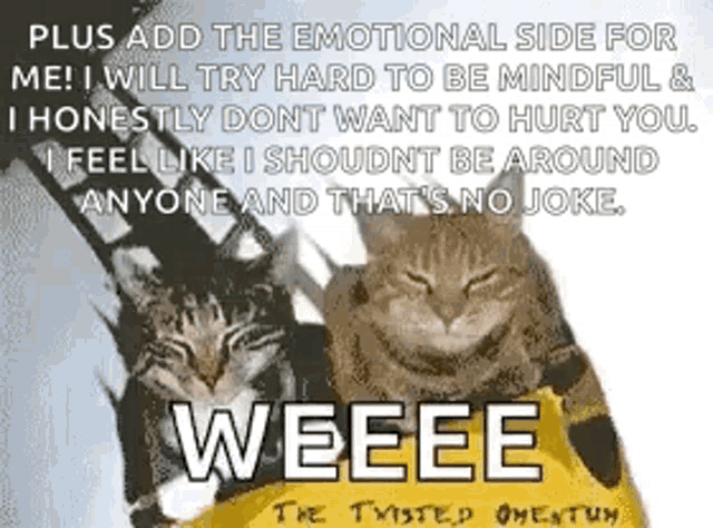 two cats are sitting next to each other with the words " plus add the emotional side for me " written above them