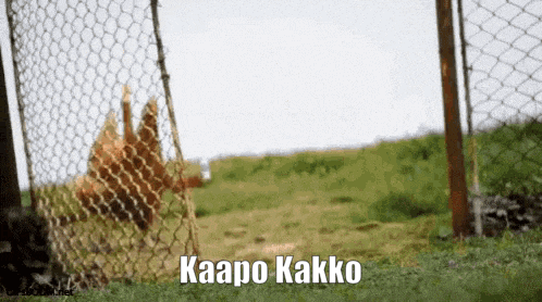 a chain link fence with the words kaapo kakko written on it