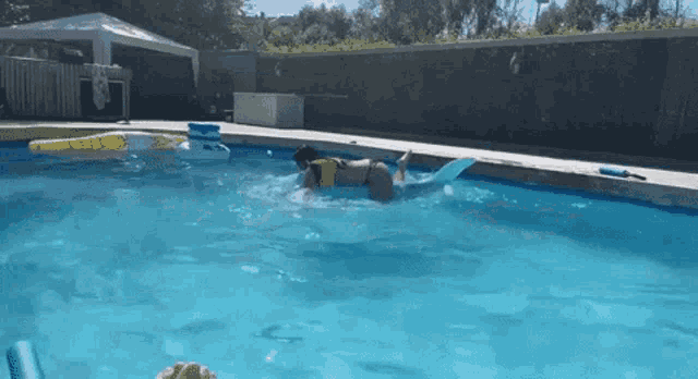 Aneward Shark GIF