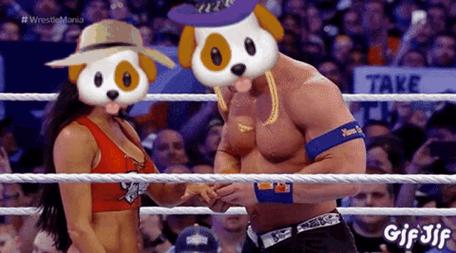 a man and a woman in a wrestling ring with a gif that says gif jf