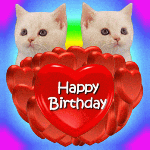 Happy Birthday Happy Birthday Cats GIF - Happy Birthday Happy Birthday Cats Birthday Cats GIFs