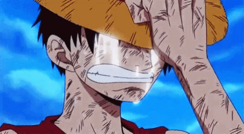 Onepiece Proud GIF - Onepiece Proud Luffy GIFs