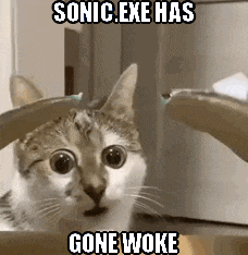 a cat is looking at the camera with a sonic exe has gone woke meme on it .