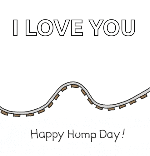 a roller coaster with the words i love you happy hump day written on it