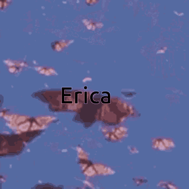 Erica But Did You Die GIF
