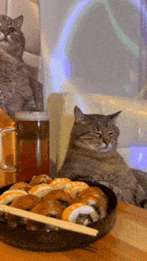 two cats are sitting at a table with a bowl of sushi and a glass of beer