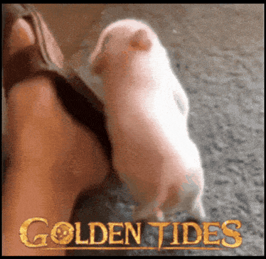 a picture of a person 's foot with the words golden tides on it
