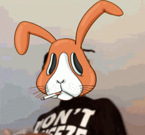 Carti Bunny GIF - Carti Bunny Bunnies GIFs