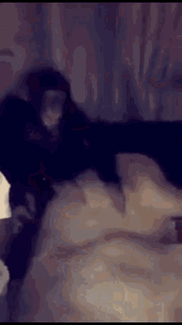 a blurry picture of a person laying on a bed with a dog .