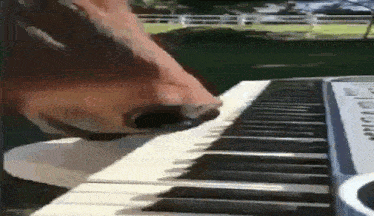a horse is playing a piano with its nose on the keyboard .