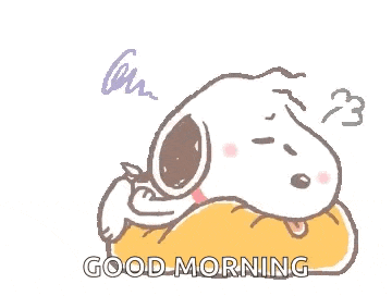 snoopy is sitting on a pillow with the words `` good morning '' written below him .
