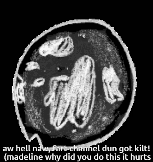a black and white image with a speech bubble saying aw hell naw fart channel dun got kilt