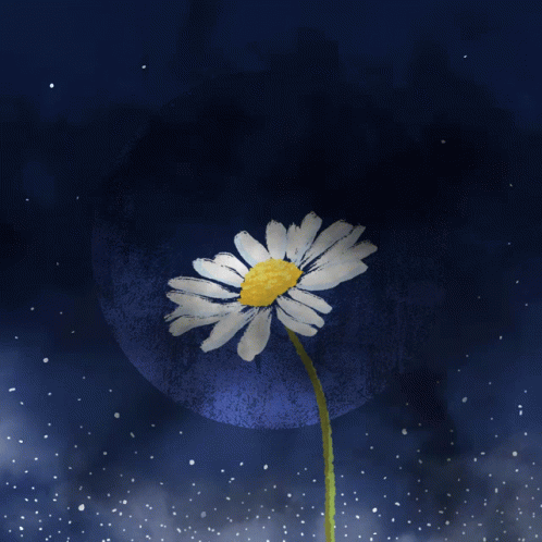 Flower Daisy GIF - Flower Daisy Fall GIFs