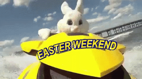 Easter Weekend Party Bunny GIF - Easter Weekend Party Bunny Funny Easter GIFs