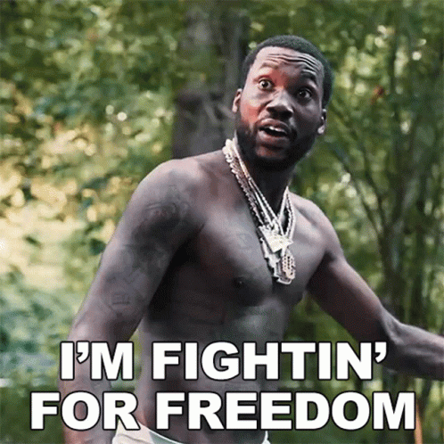 Im Fightin For Freedom Meek Mill GIF - Im Fightin For Freedom Meek Mill Mandela Freestyle Song GIFs