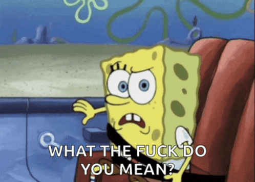 spongebob says " what the fuck do you mean " while wearing a seat belt