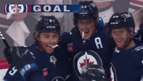 a group of hockey players celebrate a goal