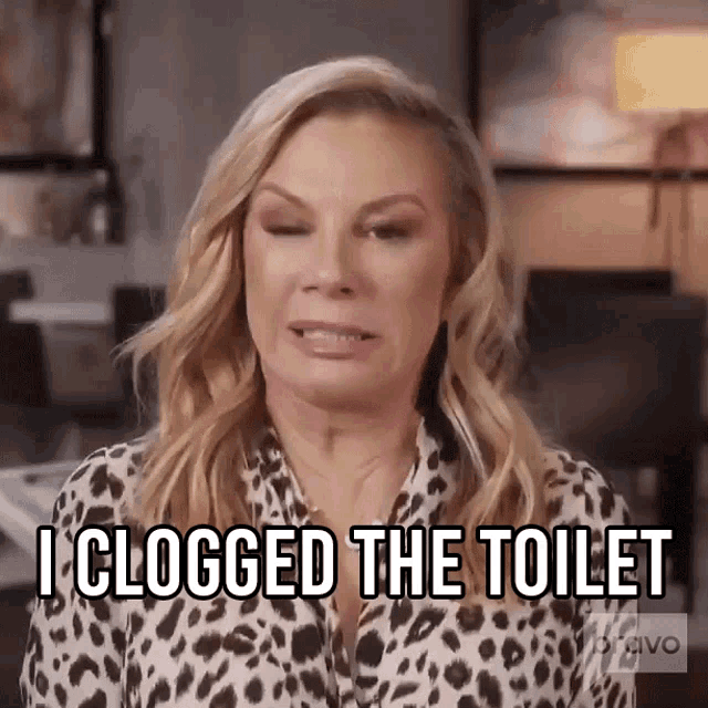 I Clogged The Toilet Real Housewives Of New York GIF