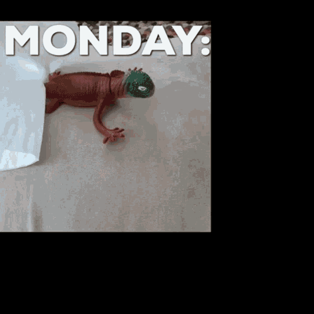 a hand is holding a napkin with the word monday written above it