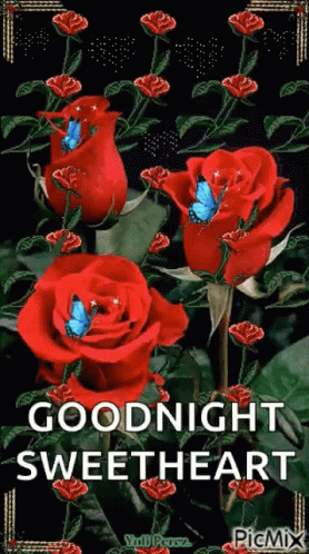 Goodnight Flowers GIF - Goodnight Flowers Sparkles GIFs