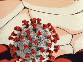 a computer generated image of a virus with red spots on it