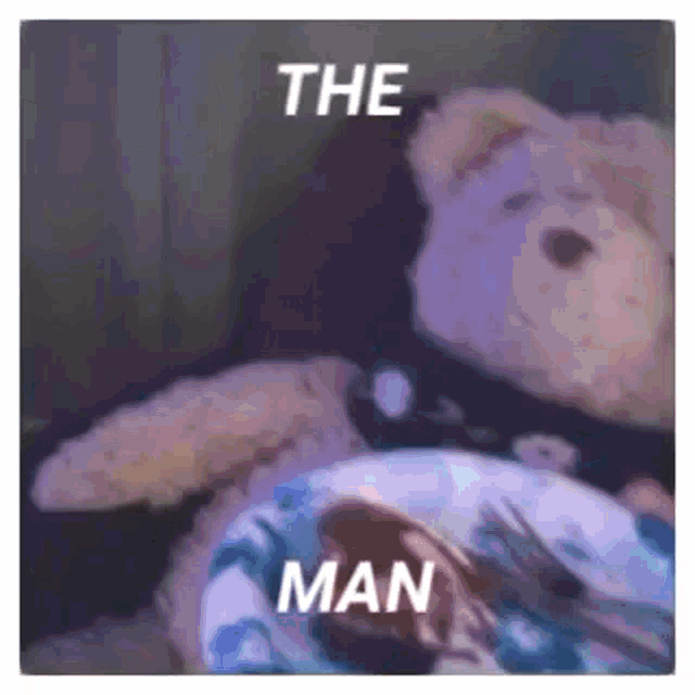 a teddy bear is sitting next to a plate of food with the words the man on it