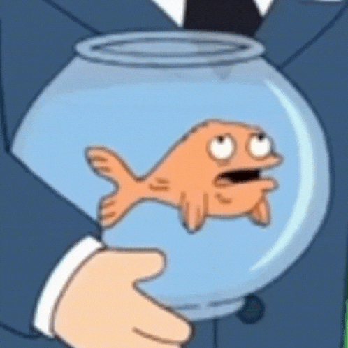 a man is holding a fish in a bowl .