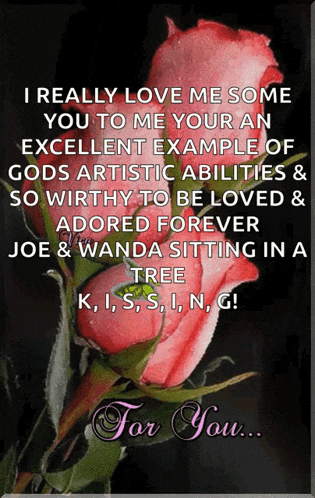 a greeting card with a red rose and the words " i really love me some you to me your an excellent example "