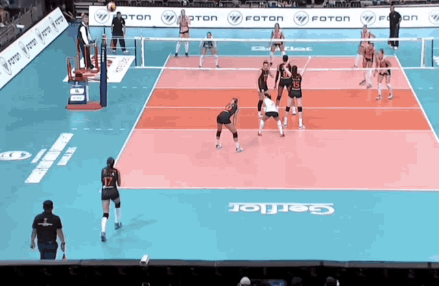 Neslihan Neslihan Demir GIF - Neslihan Neslihan Demir Volleyball GIFs