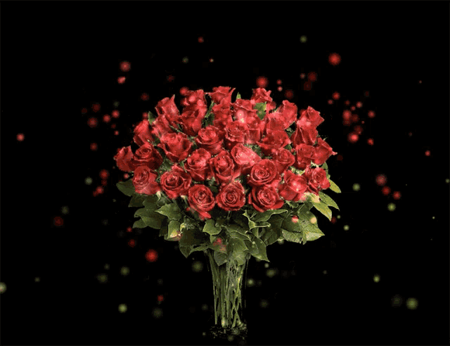 a bouquet of red roses in a vase with a black background