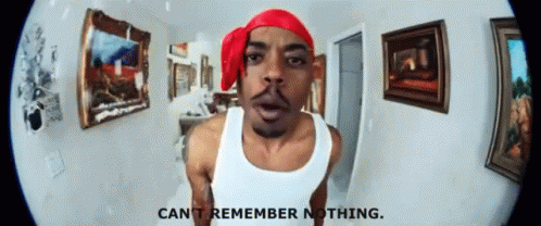 Boogie Cant Remember Nothing GIF - Boogie Cant Remember Nothing I Dont Remember GIFs