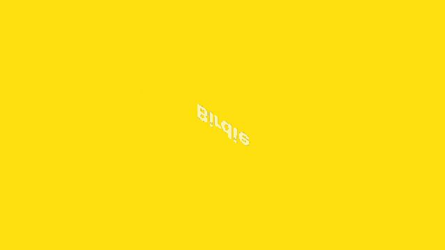 a yellow background with icons and the word birdie at the top