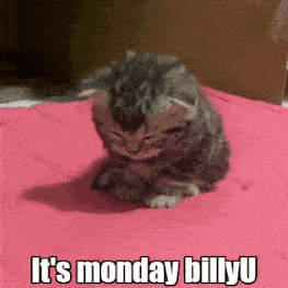 Cat Tired GIF - Cat Tired Monday GIFs