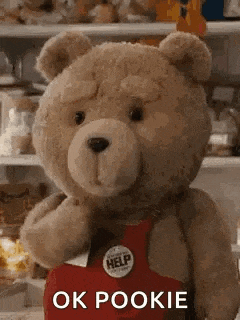 a teddy bear wearing a red apron is standing in front of a shelf and says `` ok pookie '' .
